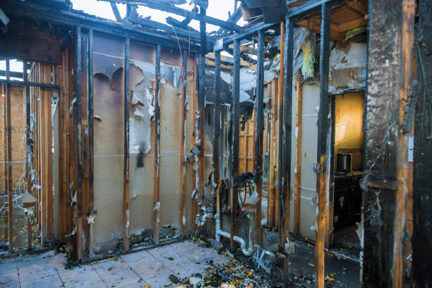 Professional Fire Damage Restoration technician working in Woodville, FL