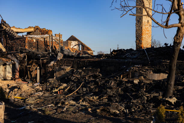 Reliable Fire Damage Restoration contractor in Woodville, FL by Fire Damage Doption